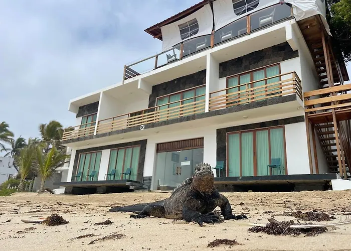 Cormorant Beach House