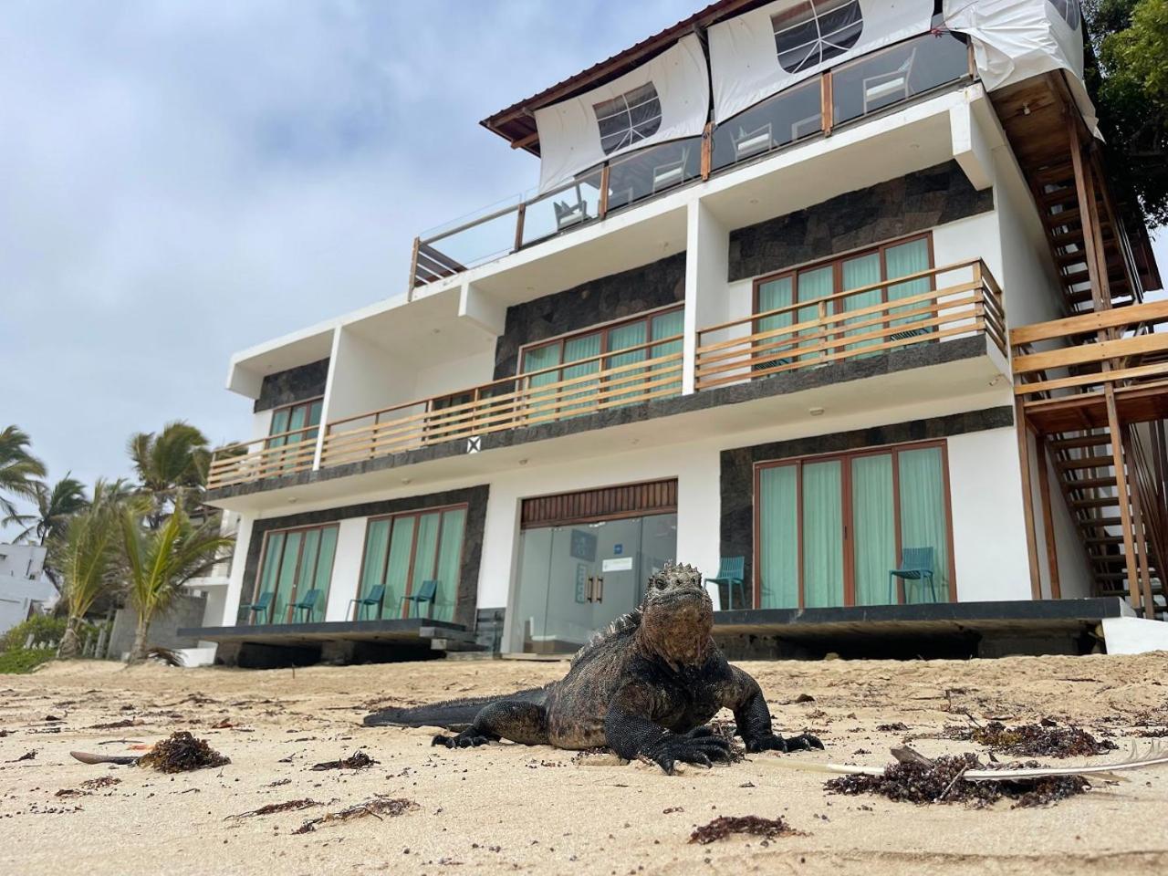 Cormorant House Puerto Villamil